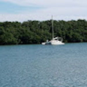 Meet your Posher, Allen & lisa